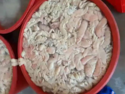 Kinh hãi phát hiện 1,4 tấn lòng heo thối đang được ngâm hóa chất tẩy