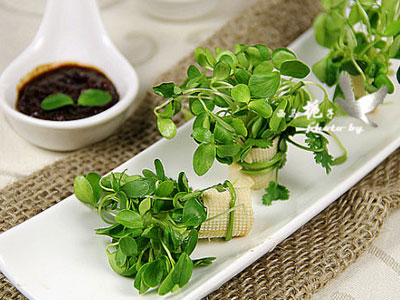 Điểm danh 4 thực phẩm mọc mầm được ví như "vàng mười"
