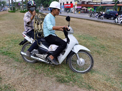 Cỏ bị giẫm, héo úa ở đường đẹp nhất Việt Nam