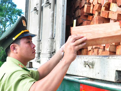 Tạm giữ xe container chở hàng chục tấn lâm sản quý hiếm