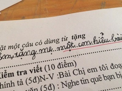 Học sinh đặt câu “Em tặng mẹ một con hiểu bài” khiến dân mạng đứng hình
