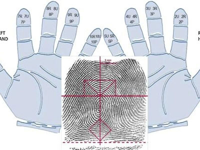 Thực hư dịch vụ sinh trắc vân tay “giải mã” cả cuộc đời
