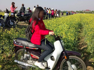 Hình ảnh cô gái xinh đẹp phi xe máy qua vườn hoa cải gây bức xúc