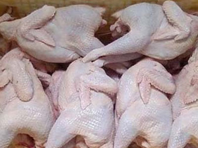 Bí ẩn gà không đầu, không chân giá rẻ bán đầy Hà Nội