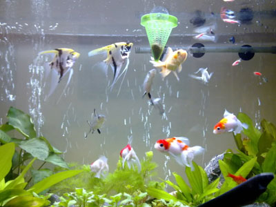 Có 1 trong 4 dấu hiệu này thì cẩn trọng, bạn sắp bị HAO TÀI đó!