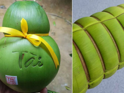 Dừa hồ lô, bánh tét chưng Tết hơn nửa triệu đồng mỗi trái