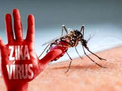 TPHCM: 80% số quận huyện bị vi rút Zika tấn công