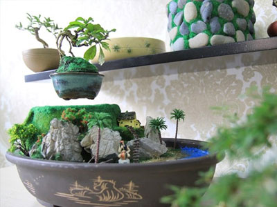 Bonsai tiền triệu bay lơ lửng hút khách Sài Gòn