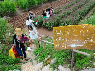 Khi nhà vườn treo bảng "coi chừng chó dữ" để chống... "phượt"!