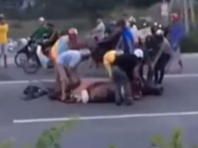 Công an vào cuộc điều tra nhóm người "hôi" thịt trâu bị xe tông chết ngoài đường