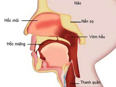 Cách nhận biết sớm các loại ung thư đầu cổ