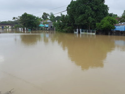 Mưa quá lớn, lũ ở Bình Định, Phú Yên đang lên nhanh