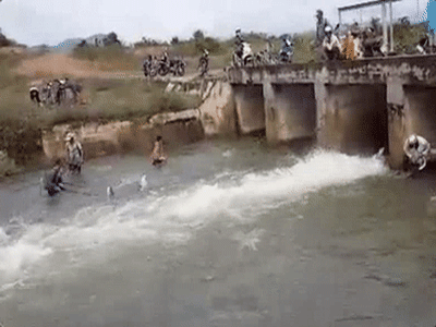 Clip cá nhảy lên bờ, dân Bình Thuận tranh nhau bắt