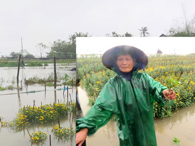 Người trồng hoa trắng tay vì lũ