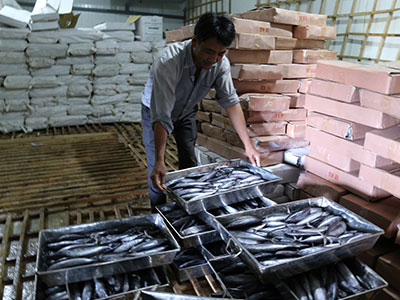 Quảng Trị tồn kho hơn 1.300 tấn hải sản đông lạnh