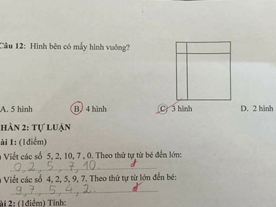 Bài toán đếm hình vuông "cô hay trò sai" gây tranh cãi