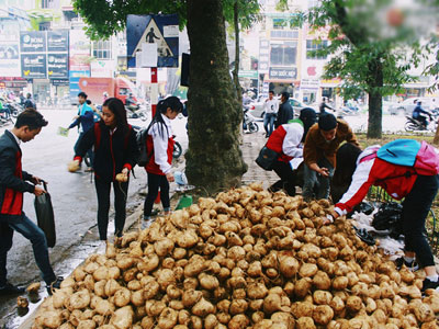 Người Hà Nội rủ nhau đi mua củ đậu ủng hộ nông dân Quảng Ngãi bị thiên tai