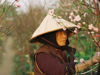 Ảnh bìa bài viết 419308