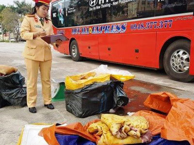 “Phù phép” hơn 2,5 tạ thịt đông lạnh thành thịt heo rừng