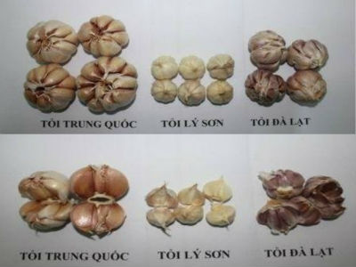 Top 7 thực phẩm "Made in China" nên tránh càng xa càng tốt