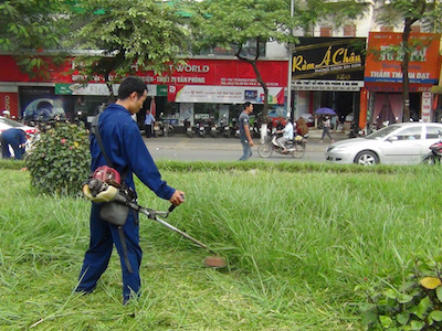 Hà Nội ấn định cụ thể số lần cắt cỏ, tưới nước cho cỏ...