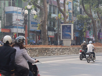 Tài xế buýt nhanh bị đâm vỡ kính: "Tôi chỉ kịp nhìn lái xe là một phụ nữ"
