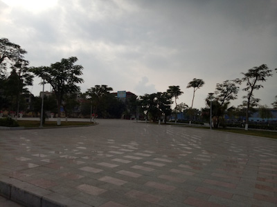 Chủ tịch phường bị kỷ luật vì cho chặt 2 cây quý