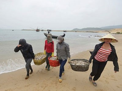 Sự cố Formosa không lọt vào 10 sự kiện tài nguyên môi trường 2016