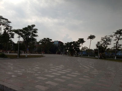 Điều chuyển công tác chủ tịch phường để dân chặt 2 cây quý