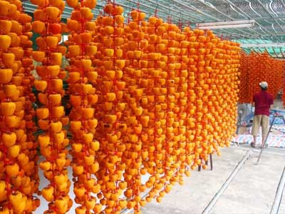 Hồng sấy kiểu Nhật nửa triệu đồng một kg