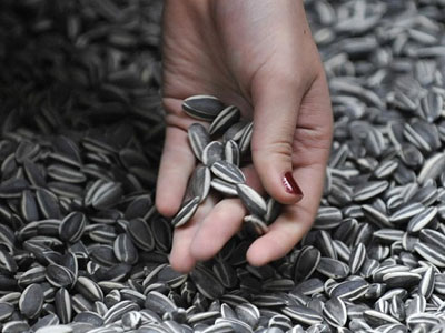 4 điều cha mẹ cần biết để trẻ không mất mạng vì hạt dưa