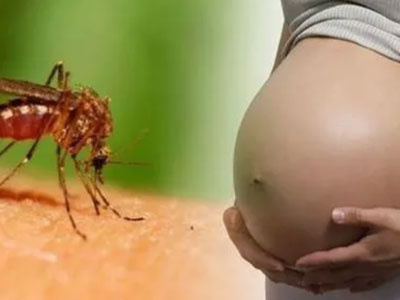 Ca nhiễm Zika đầu tiên tại Bến Tre đang mang bầu 18 tuần