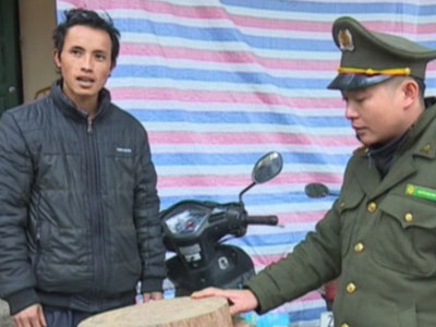 Chi Cục trưởng Kiểm lâm Hà Giang nói về vụ bắt giữ người vận chuyển 2 thớt gỗ