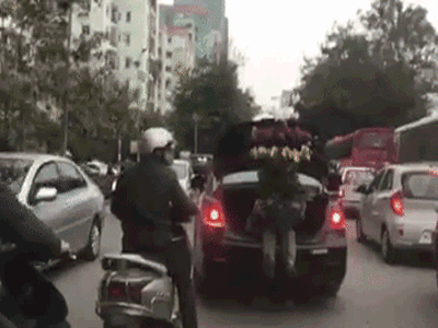 Ôm chậu hoa như báu vật, người đàn ông ngồi trong cốp ô tô khiến cả phố phải nhìn