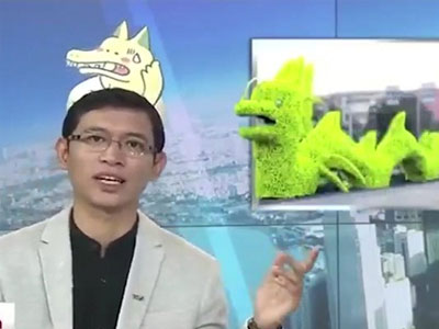 "Rồng pikachu" ở Hải Phòng lên sóng truyền hình, dân mạng sửng sốt