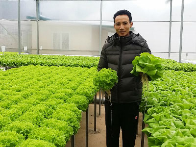 Thạc sĩ tài chính thu mỗi tháng gần tỷ đồng từ rau sạch