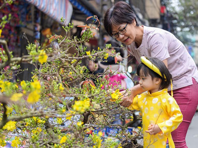 Chợ hoa phố cổ Hà thành nhộn nhịp trước ngày Táo quân