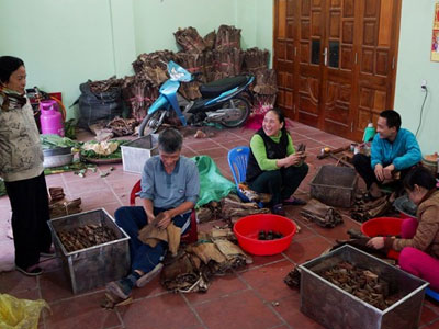 Làng bánh gai tiến vua tất bật ngày giáp Tết