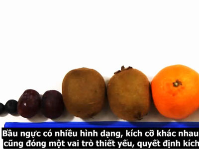 Những điều không nói ra bạn sẽ không bao giờ biết về bộ ngực của mình