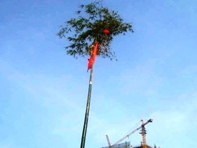 Tại sao cây nêu ngày Tết được dựng bằng tre?