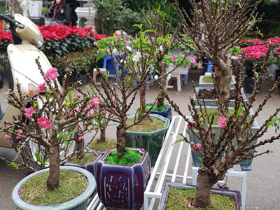 Ảnh bìa bài viết 425463