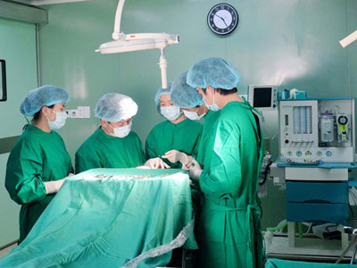 Việt kiều về quê ăn tết tranh thủ "nâng mũi, độn cằm" lấy hên