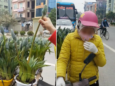 Clip: Người đàn ông giận dữ vì bị lừa mua phải cây chơi Tết giả với giá 3 triệu đồng