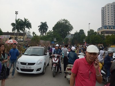 Đào, quất phá giá chiều 29 Tết