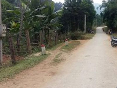 Đi chơi Tết, phát hiện người phụ nữ treo cổ bên bìa rừng
