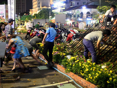 Vượt rào vào "mót" hoa ở phố đi bộ Nguyễn Huệ đêm bế mạc