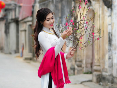 Chính phủ chưa bàn việc bỏ Tết cổ truyền