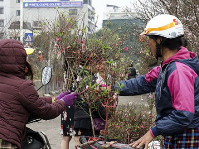 Đào Nhật Tân tấp nập ra chợ trước ngày Rằm tháng Giêng