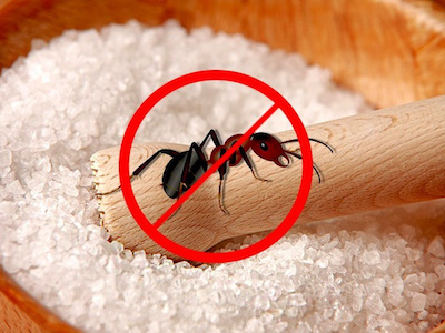 "Đầu năm mua muối, cuối năm mua vôi": 10 công dụng có thể bạn chưa biết của muối