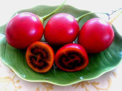 Cà chua lạ 1 triệu đồng/kg: Hàng hiếm xôn xao Hà Thành